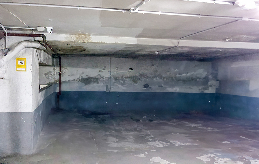 Ángel Carbajo, 6 en Madrid