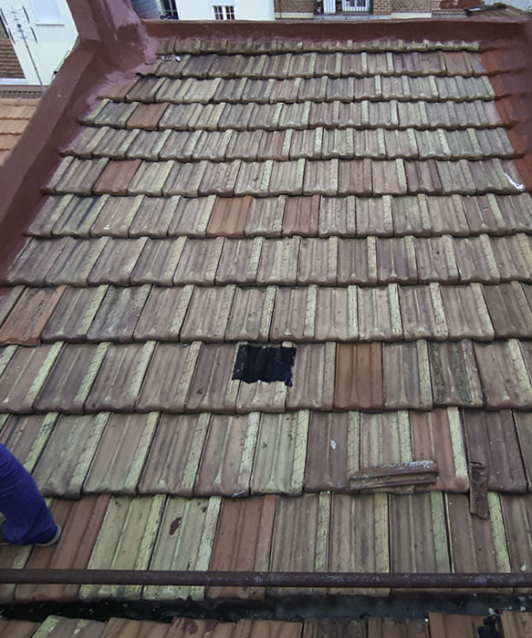 PRESUPUESTO C.P. San Francisco, 7 en Madrid